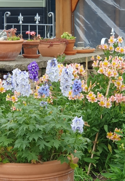 The Barn Chalico Farm